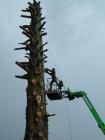 elagage-arbre-chambery elagage-arbre-chambery